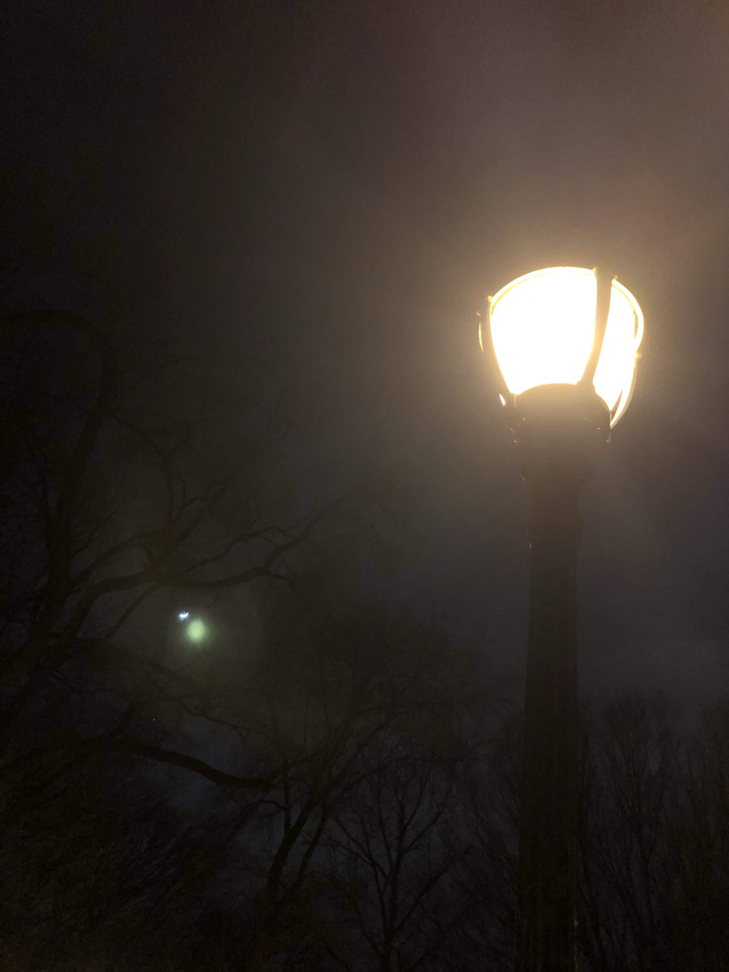 A Misty Moonlit Walk in NYC